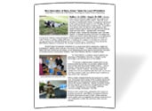 High-Performance Body Armor Pressure Mapping Solutions