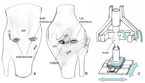 Biomechanics - Fig.1
