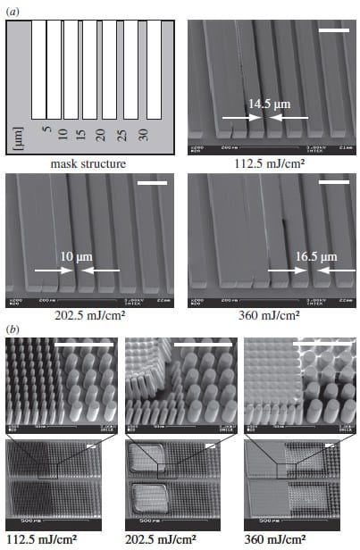 Biomechanics - Fig.5