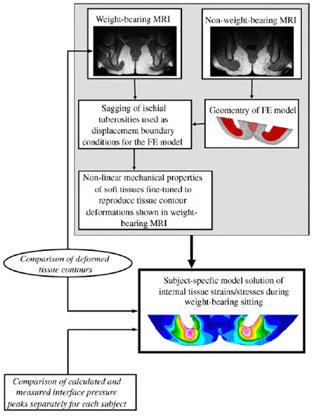 Fig. 1. A schematic description of our ��reverse engineering�� approach to study internal tissue strains and stresses. figure 1
