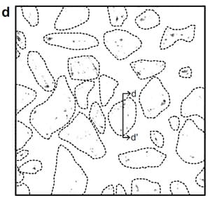 fig 14d