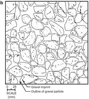 fig 5b