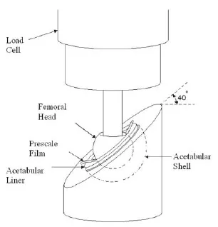 Figure 4. Test configuration for Fuji Prescale Film stress measurements. Figure 4. Test configuration for Fuji Prescale Film stress measureme nts.