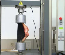 Biomechanics Abb. 16: Versuchsaufbau zur Ermittlung der Kontaktflächen in der Art. femorotibialis. Das präparierte Kniegelenk wurde mit der angeschraubten Schablone in die Aluminiumbecher einzementiert.