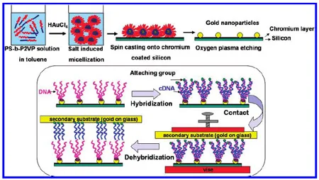 Scheme 1. Gold Nanoparticle Preparation and SuNS Cycle scheme 1