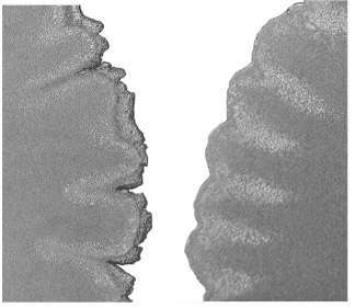 Fig. 12. Short shots with an EMC with filler cut 53 µm (left) and with filler cut 45 µm (right). Different intensities of flow front fingering can be observed. Both polymers had a filler content of 90 wt.%.
