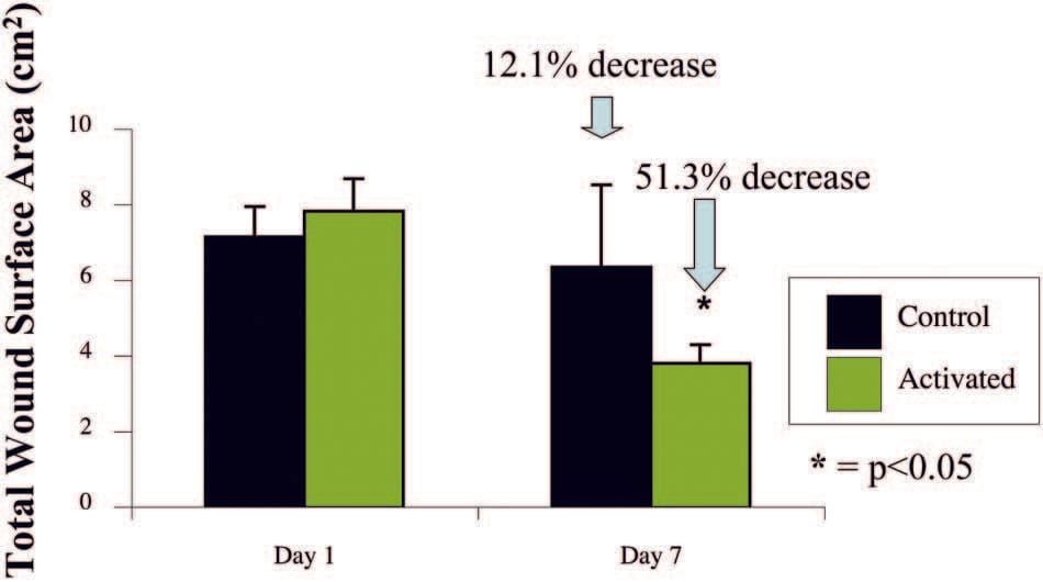 Biomechanics - Fig.6