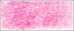 COMPOSITE LAYUP