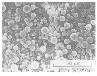 microstructure of pressure paper