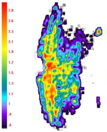 topaq analysis