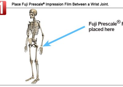 Biomechanics 01