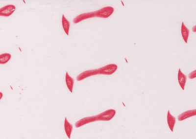 Biomechanics 06