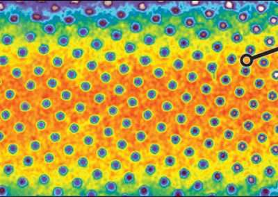 Nip pressure distribution