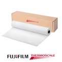 Thermoscale