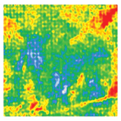 surface pressure indicating sensor film 03